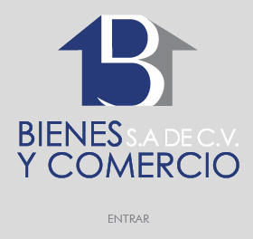 Bienes y Comercio